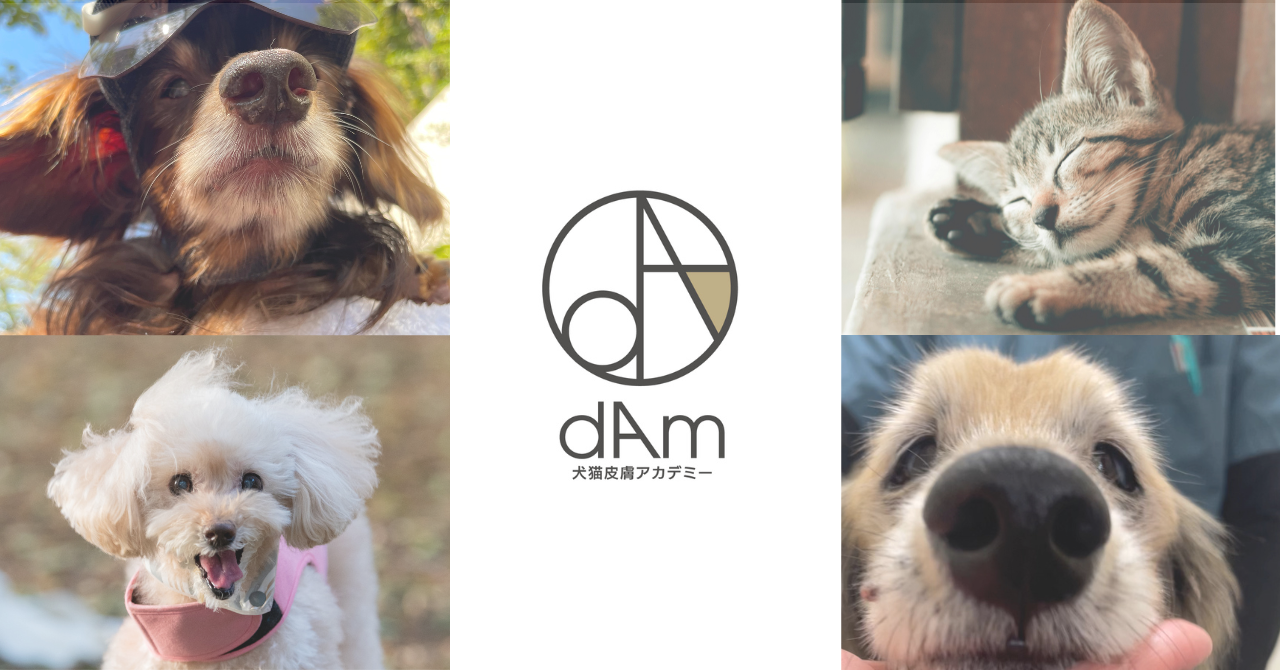 犬猫と飼い主がもっと幸せを掴める場所へ dAmは進化し続けます! | dAm犬猫皮膚アカデミー【公式】
