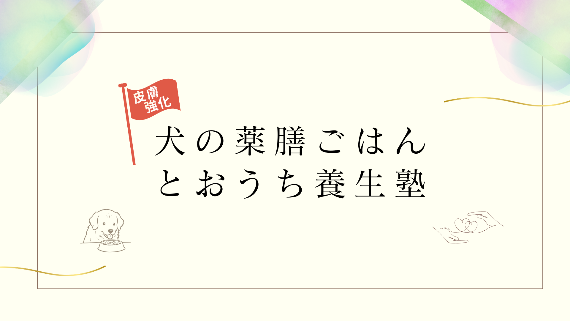 dAm犬猫皮膚アカデミー犬の薬膳ごはんとおうち養生塾　2026年3月開講