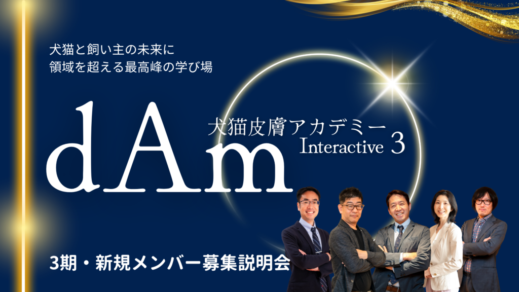dAmインタラクティブ3期メンバー募集開始